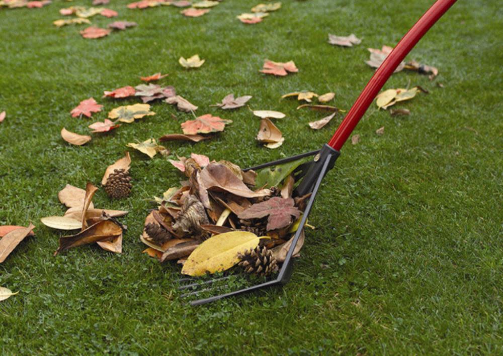 Root Assassin Rake-Shovel-Skimmer - Ascmtools