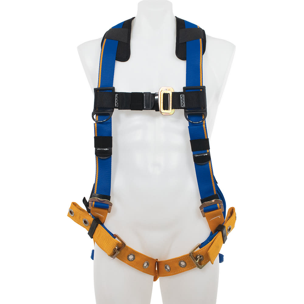 Werner Blue Armor Standard (Back D-Ring) Harness (S) - Ascmtools