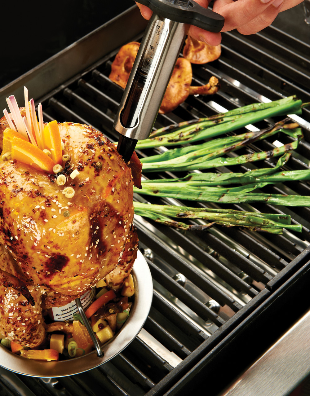 Broil King Stainless steel and Resin Marinade Injector - Ascmtools