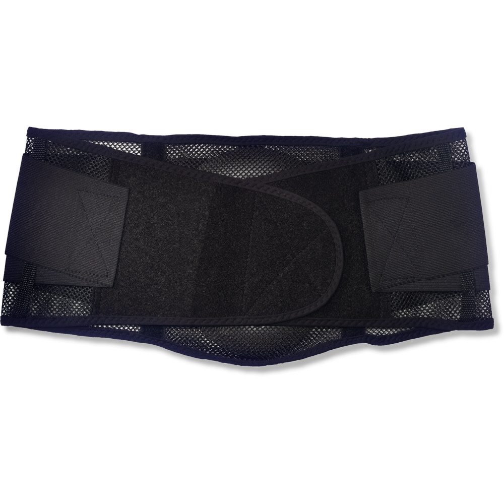 Ergodyne Proflex 1051 Back Support – Medium - Ascmtools