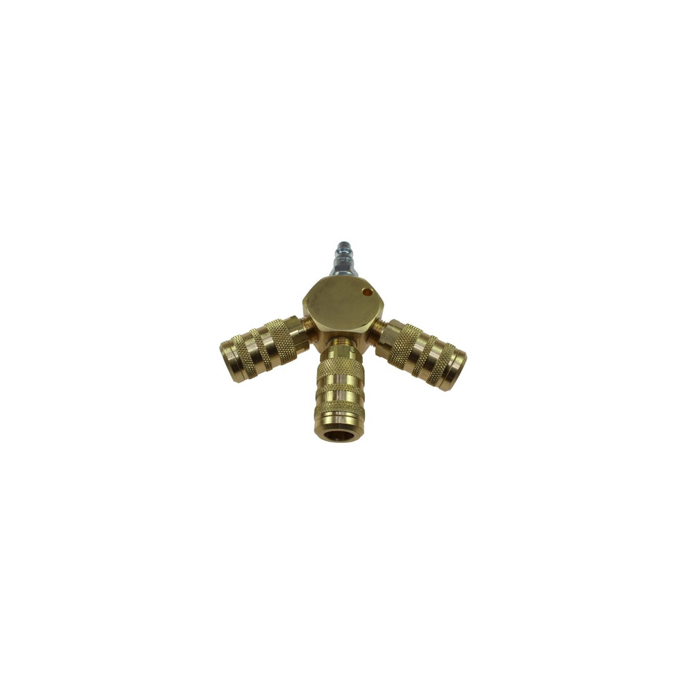Coilhose 1/4 In. 3 Port Flat Hex Manifold Assembly - Ascmtools