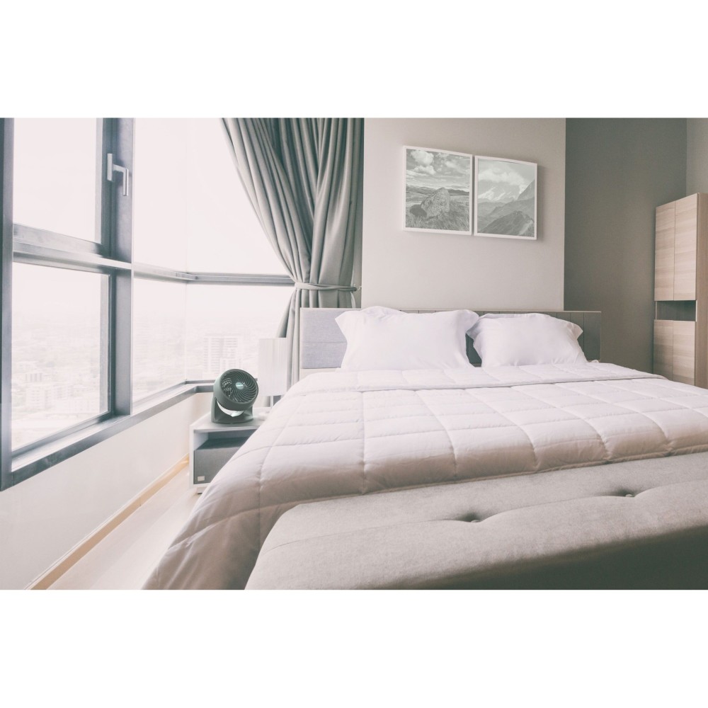 Vornado 533 Air Circulator 120V 293 CFM Black Small - Ascmtools