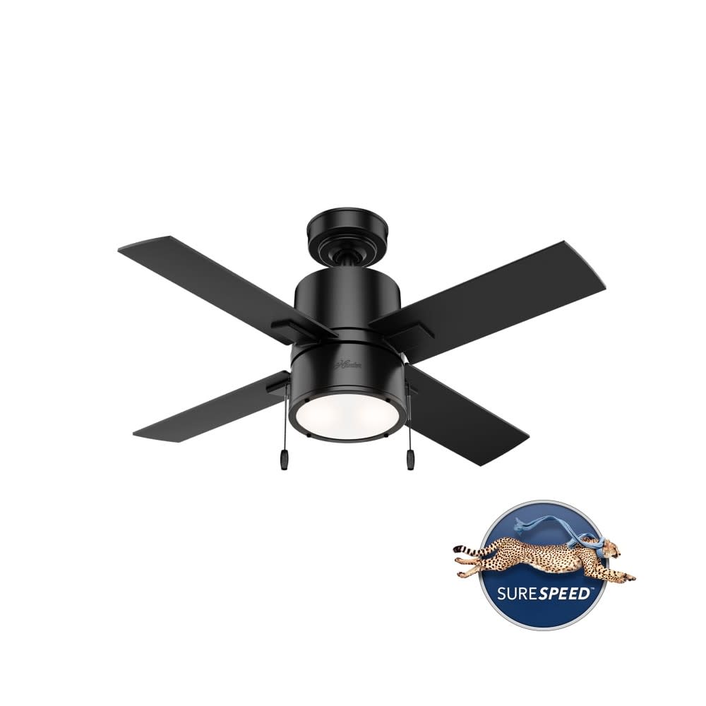 Hunter Fan Beck Ceiling Fan 42″ Matte Black/Greyed Walnut - Ascmtools