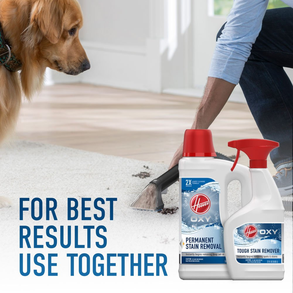 Hoover Residential Vacuum Oxy Spot and Stain Remover Pretreat 22oz - Ascmtools