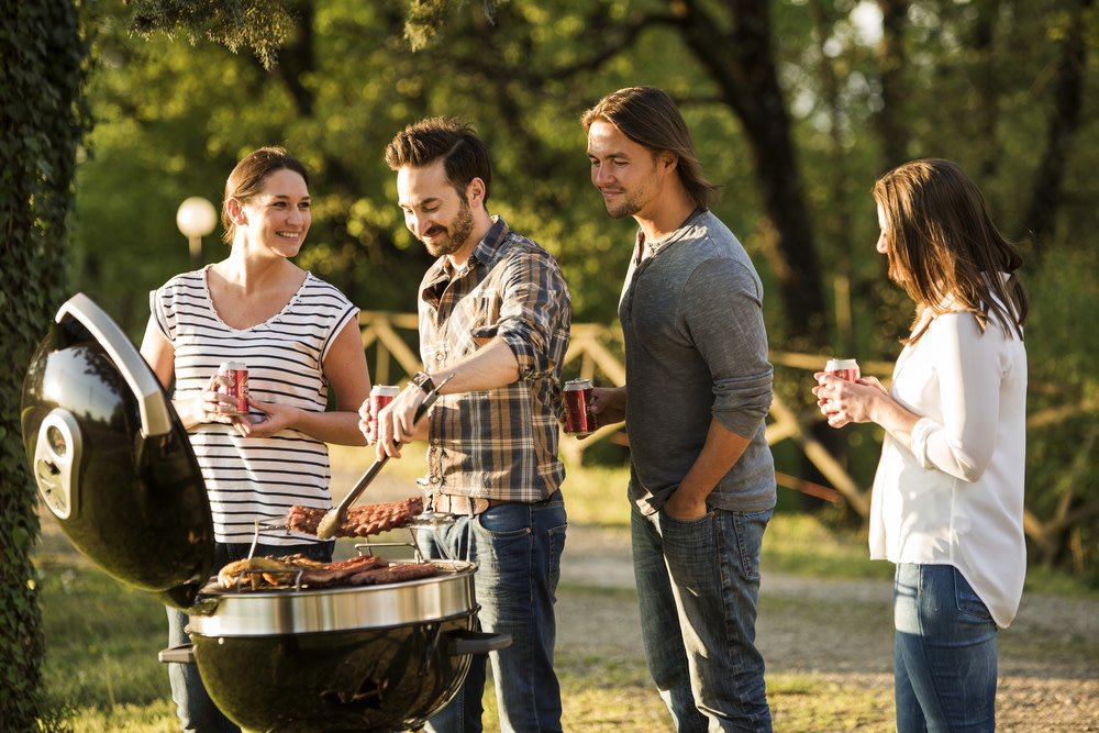 Napoleon PRO Charcoal Kettle Grill Black - Ascmtools