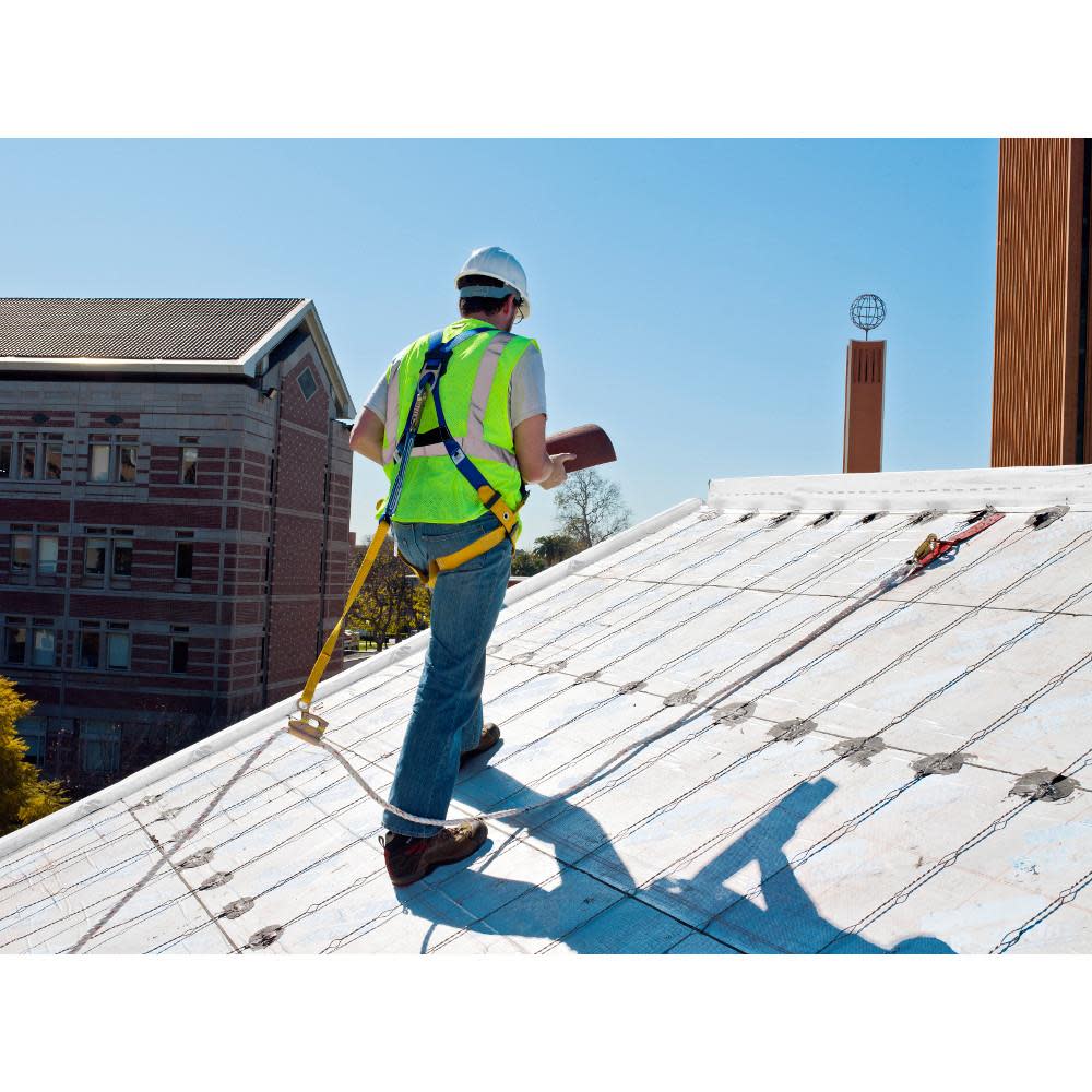 Werner Plated Steel Roof Anchor with D-Ring - Ascmtools