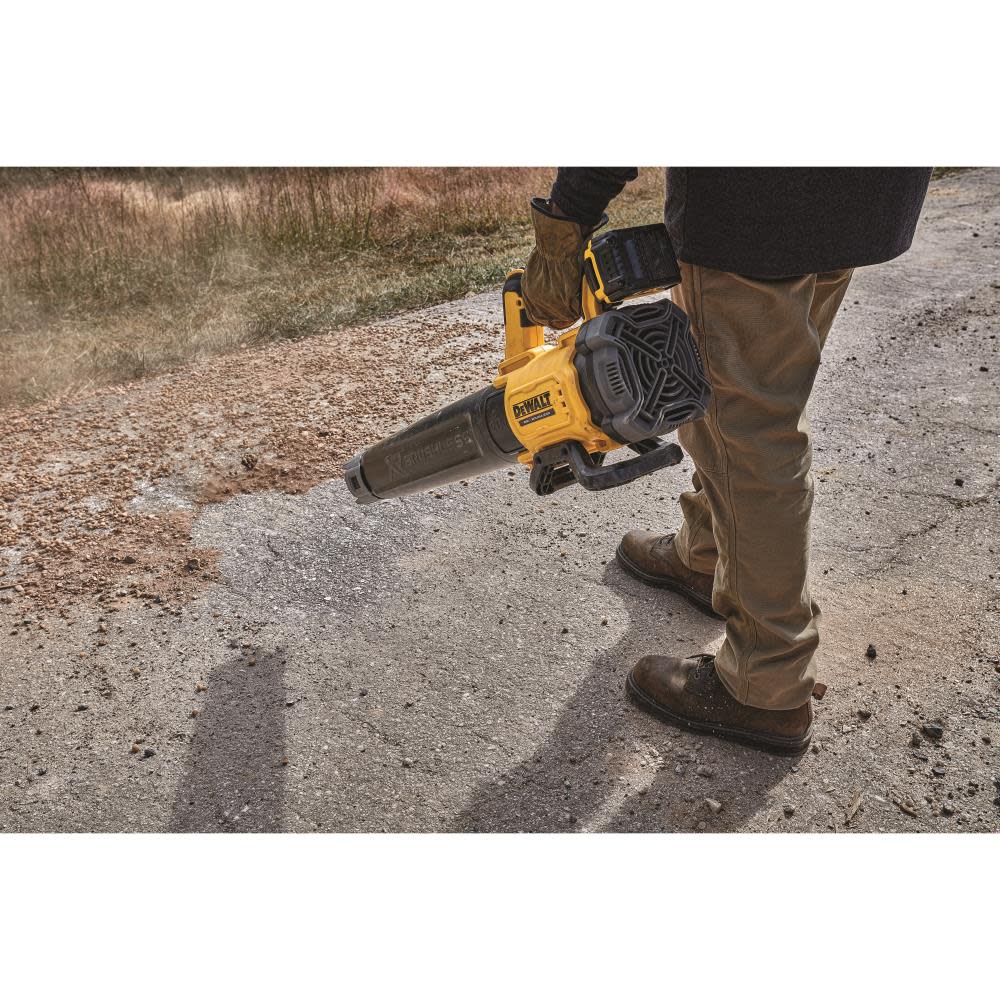 DEWALT 20 V MAX* Lithium Ion XR Brushless Handheld Blower (5.0 AH) - Ascmtools