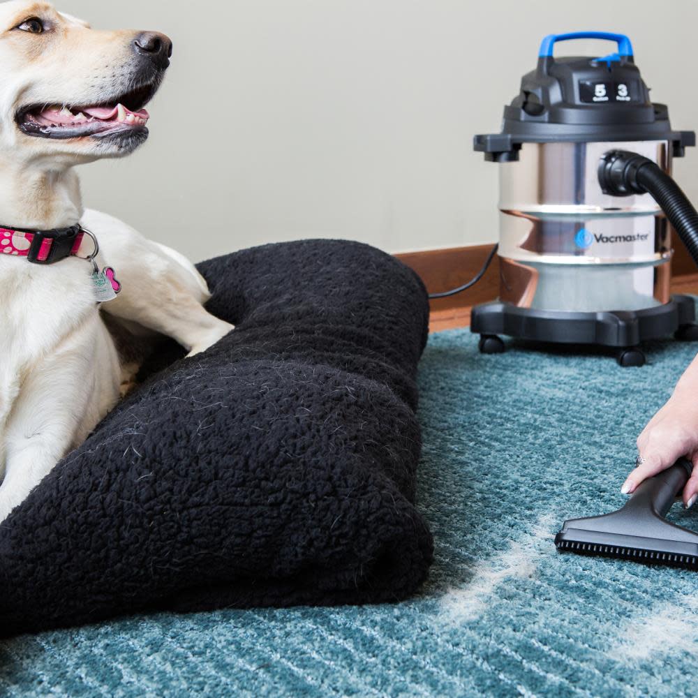 Vacmaster 5 Gallon Stainless Steel Wet/Dry Vac - Ascmtools