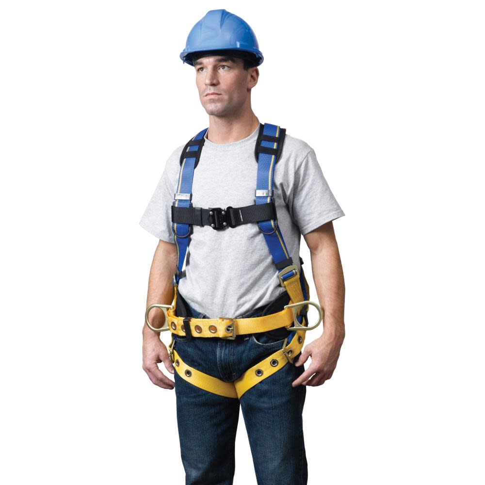 Werner Blue Armor 2000 Construction Harness – XL - Ascmtools
