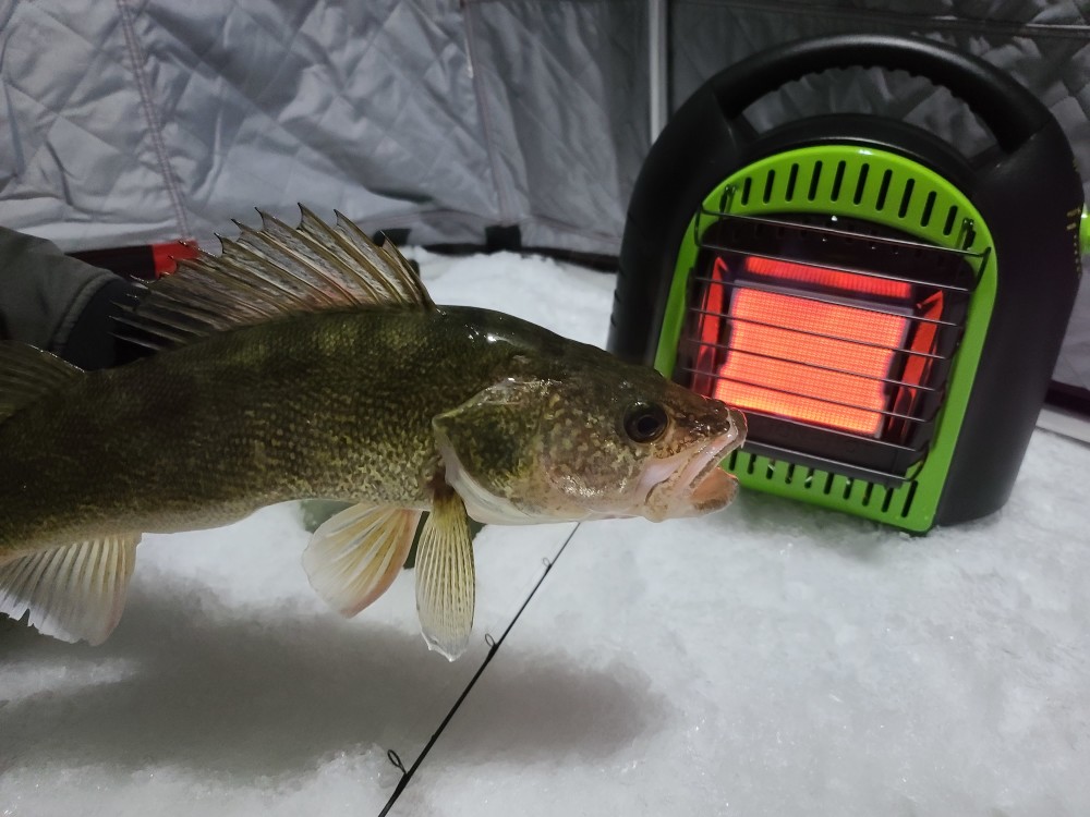 Flame King Single Tank Heater 10000 BTU - Ascmtools