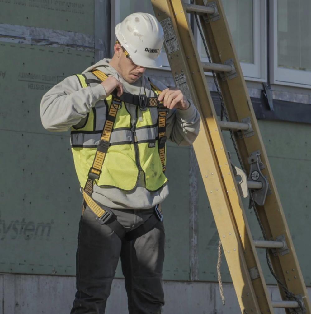 DEWALT Fall Protection Compliance Kit - Ascmtools