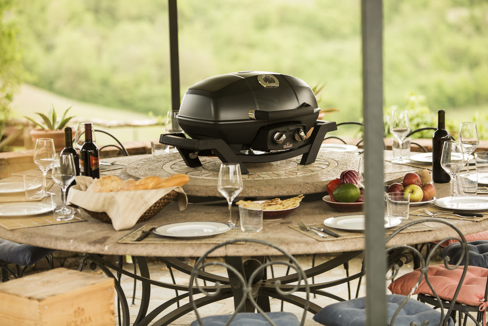 Napoleon TravelQ PRO285 Portable Natural Gas Grill Black - Ascmtools