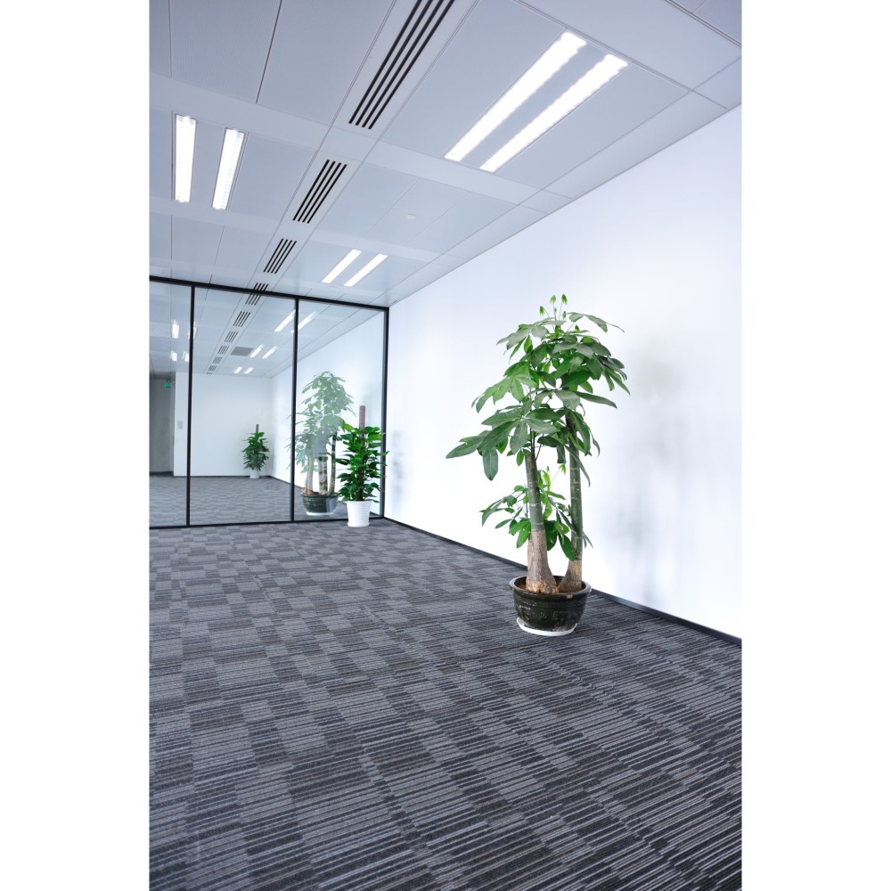 Feit Electric 4′ 40W T12 4100K Tubular LED Bulb 10pk - Ascmtools